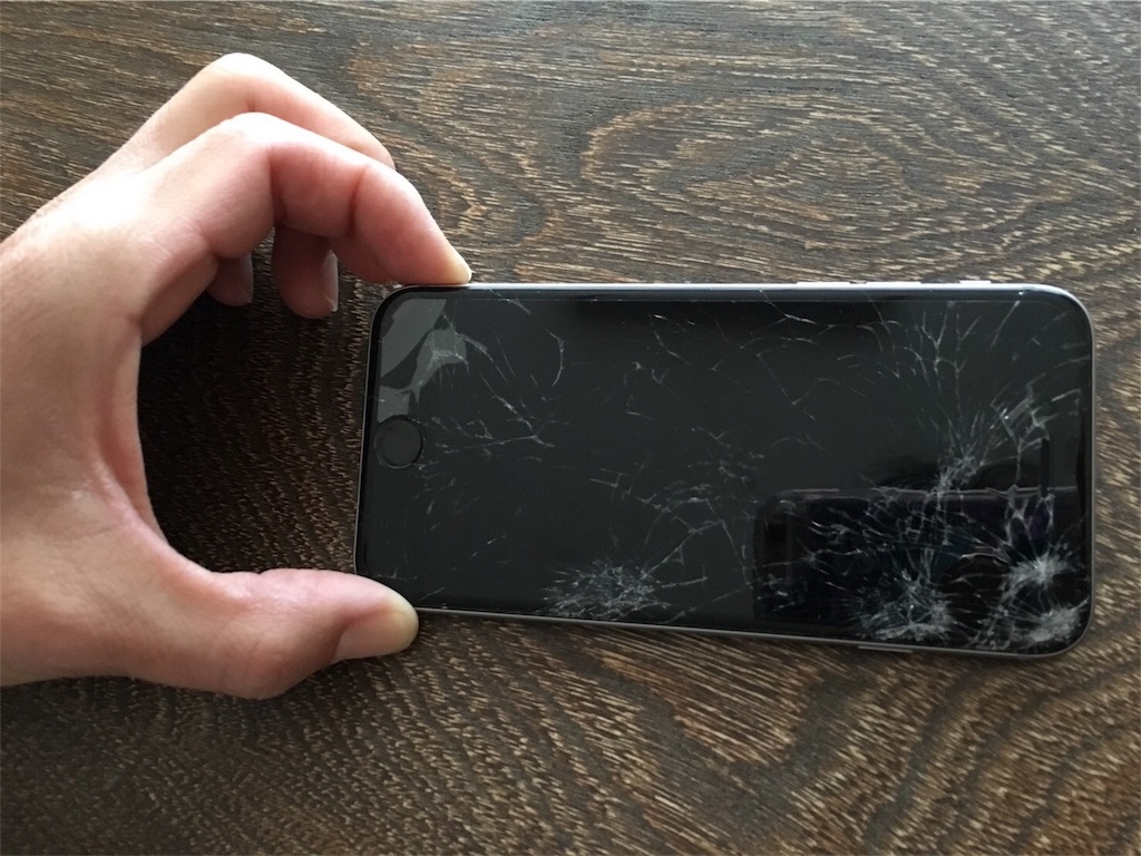 R250の防水ポーチ 2個目 ハタチノカラダ