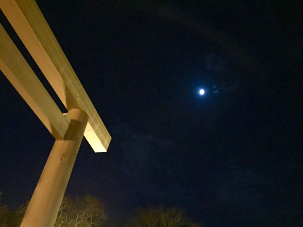 f:id:hatayan1214:20170110140851j:plain f:id:hatayan1214:20170110140851j:plain