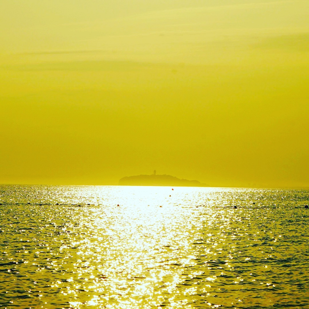 f:id:hatayan1214:20170129101915j:plain