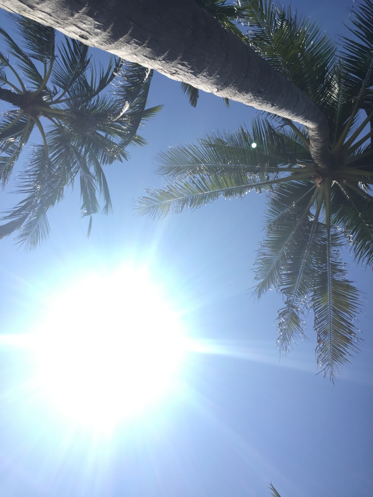 f:id:hatayan1214:20170320105556j:plain f:id:hatayan1214:20170320105556j:plain