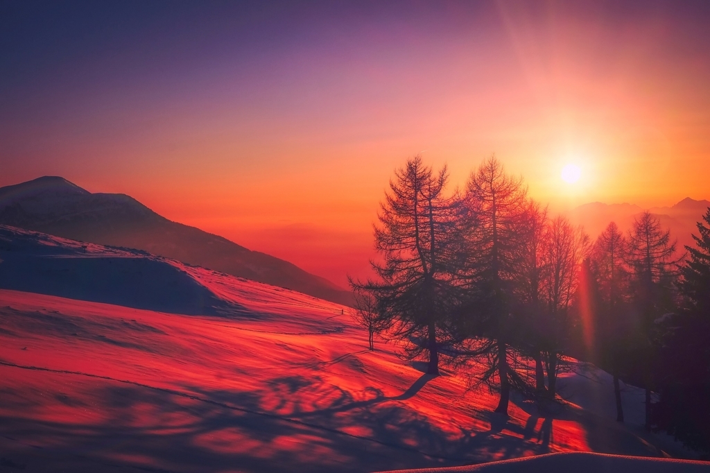 f:id:hatayan1214:20180122140937j:plain