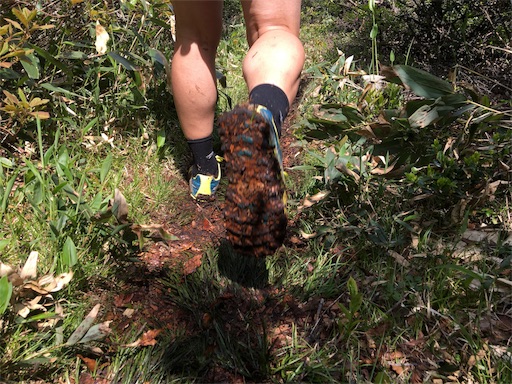 f:id:hatch76:20180602193951j:image f:id:hatch76:20180602193951j:image