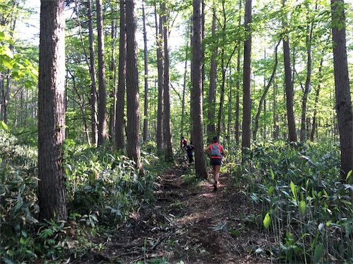 f:id:hatch76:20180602194019j:image f:id:hatch76:20180602194019j:image