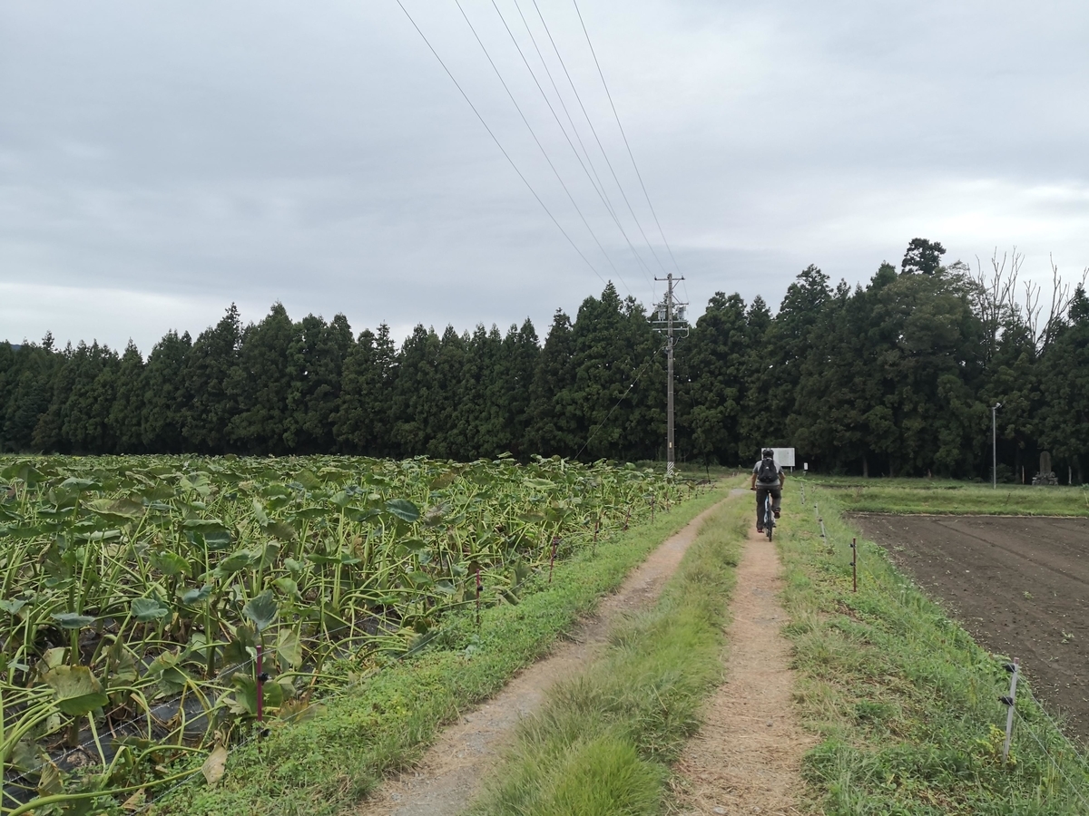 f:id:hatch76:20190924185311j:plain
