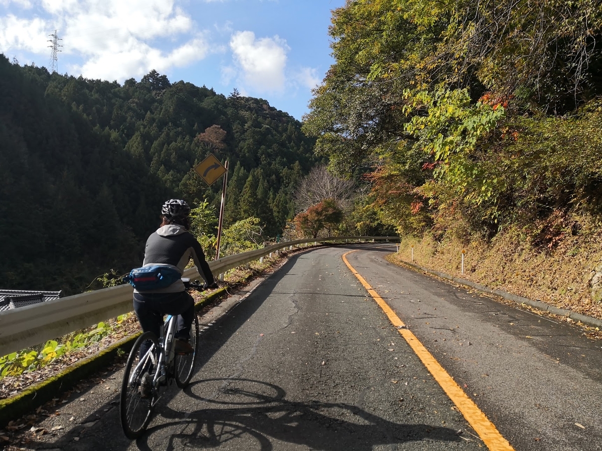 f:id:hatch76:20191114162826j:plain f:id:hatch76:20191114162826j:plain