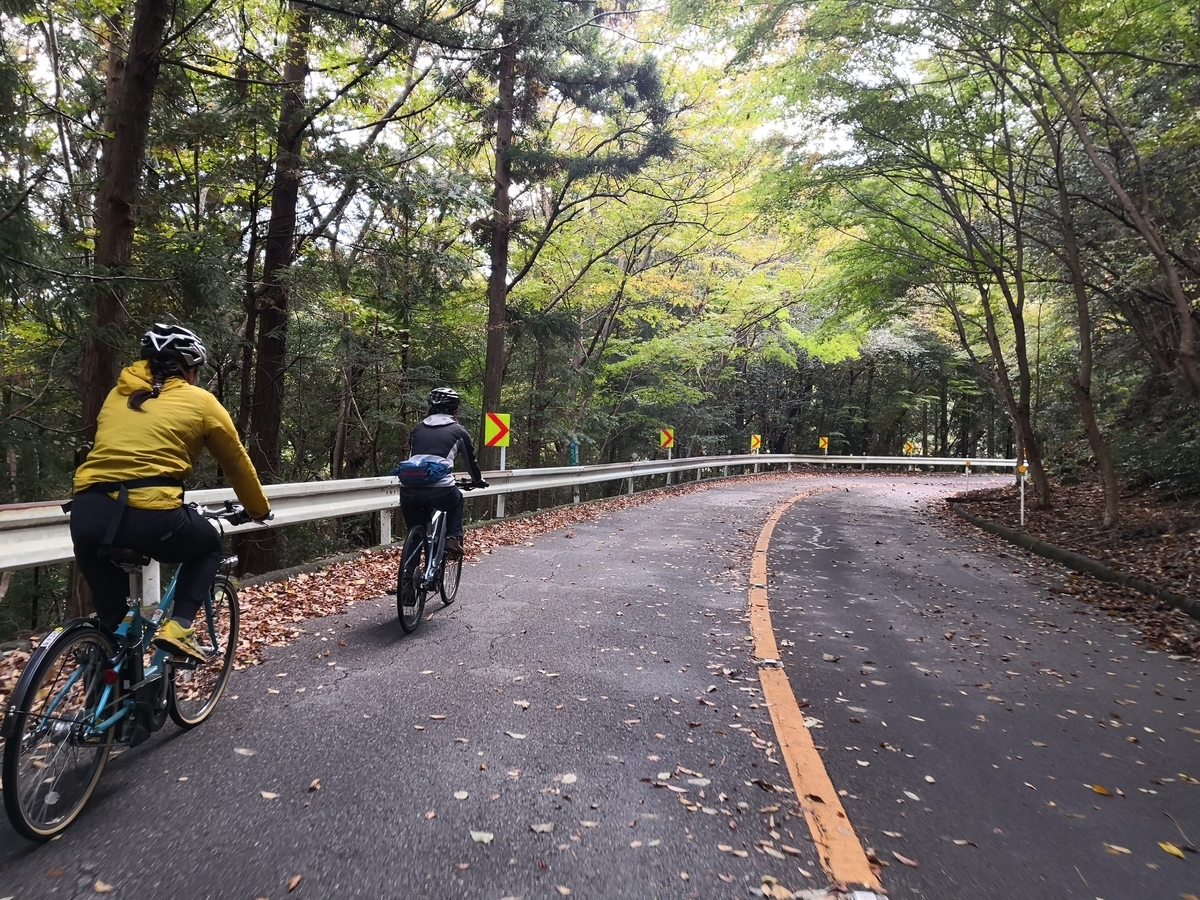 f:id:hatch76:20191114164150j:plain f:id:hatch76:20191114164150j:plain