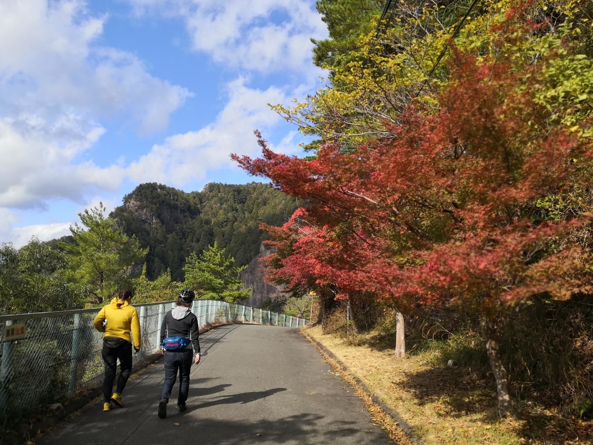 f:id:hatch76:20191114164200j:plain f:id:hatch76:20191114164200j:plain