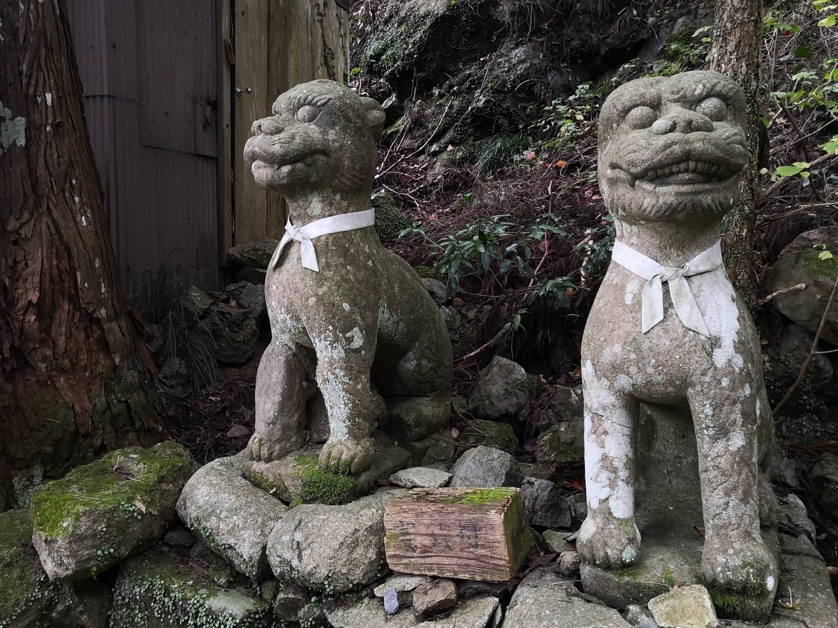 f:id:hatch76:20191114164447j:plain f:id:hatch76:20191114164447j:plain