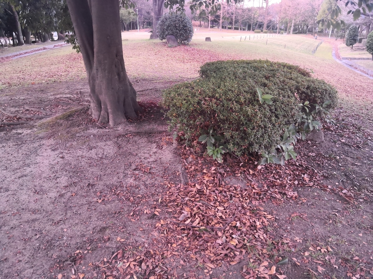 f:id:hatch76:20200106174335j:plain