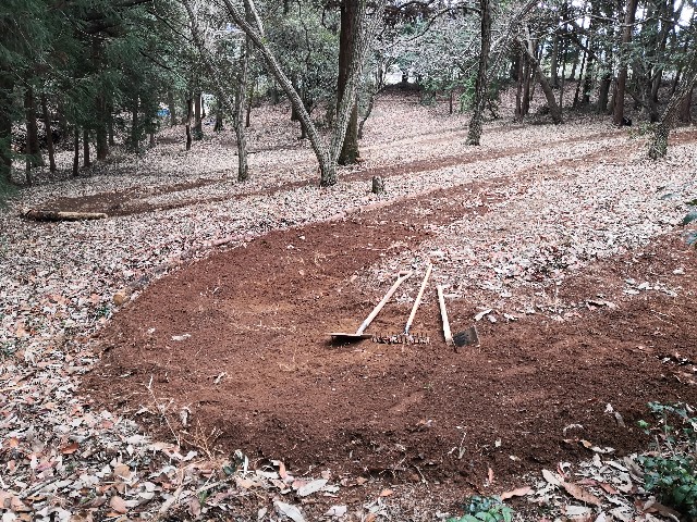 f:id:hatch76:20210126182401j:image f:id:hatch76:20210126182401j:image