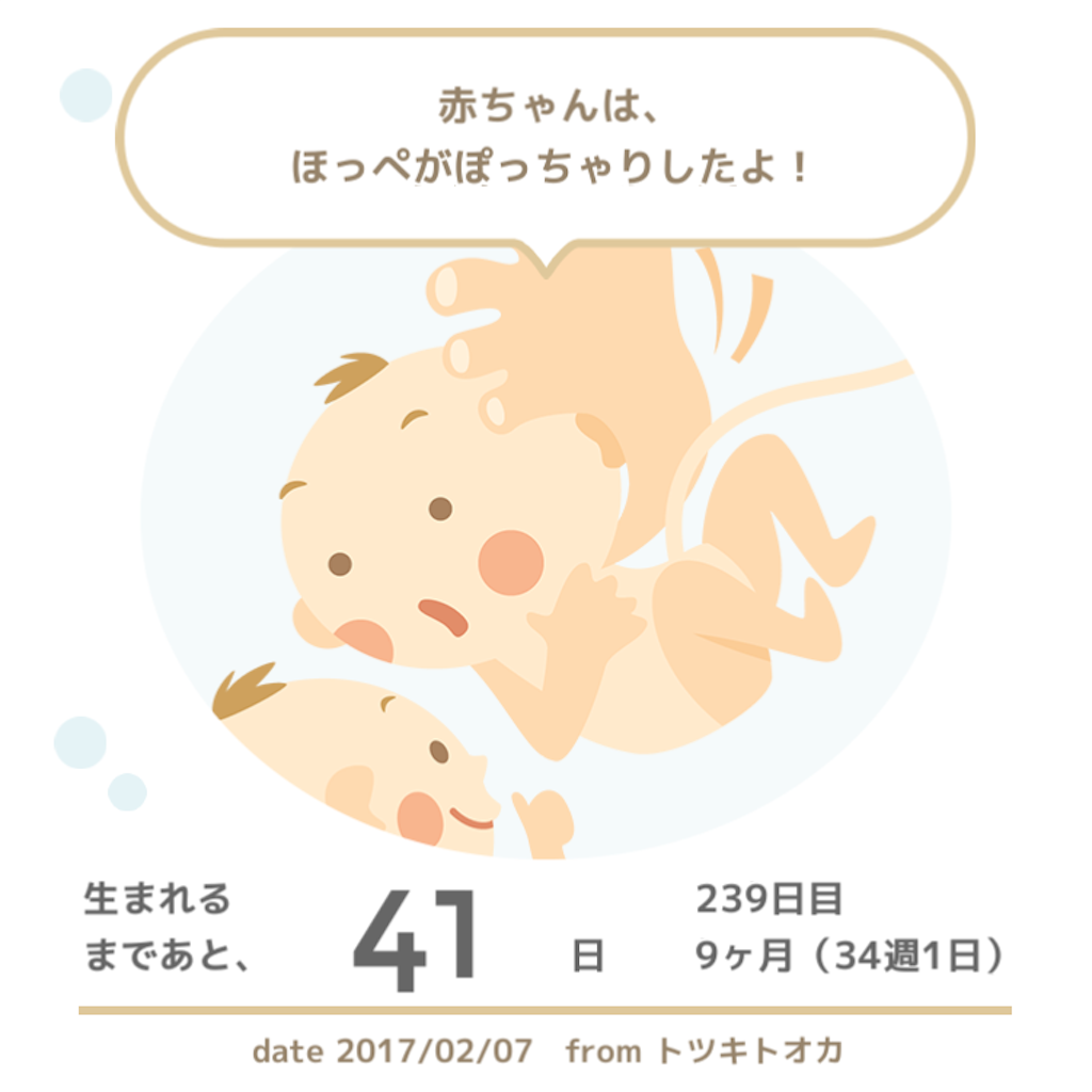 f:id:hatch_0726:20170207213356p:image f:id:hatch_0726:20170207213356p:image