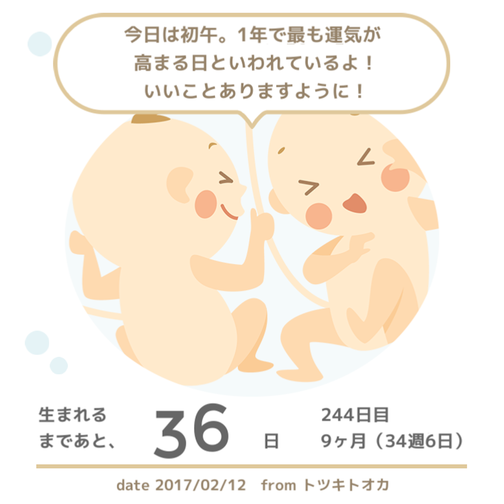 f:id:hatch_0726:20170212093917p:image f:id:hatch_0726:20170212093917p:image