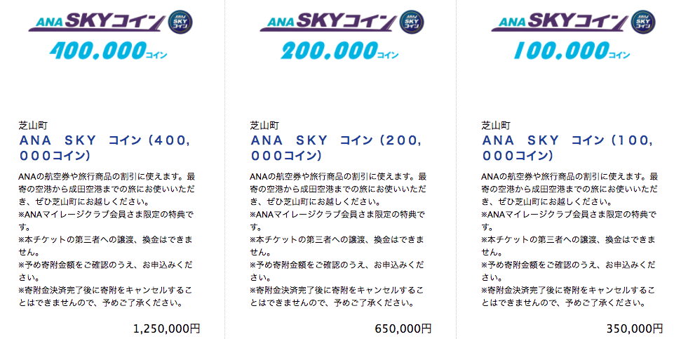 芝山町のふるさと納税、SKYコイン