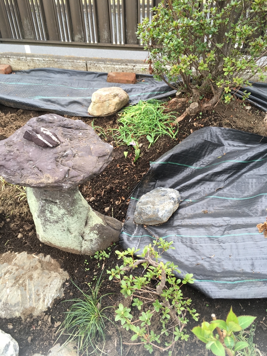 f:id:hatchtomakinoki:20210325151941j:plain