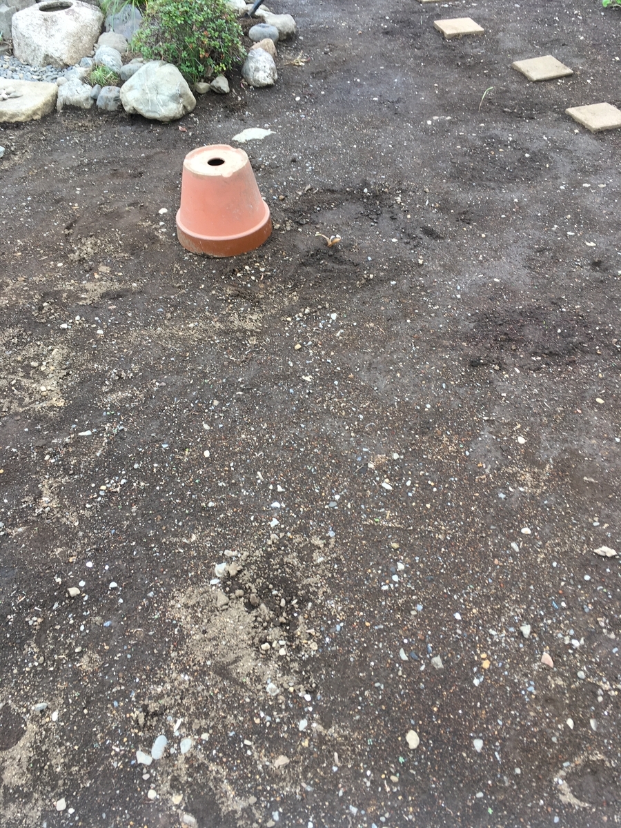 f:id:hatchtomakinoki:20210325152445j:plain