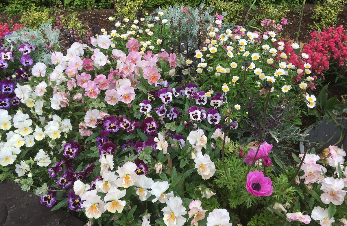 f:id:hatchtomakinoki:20210429162845j:plain