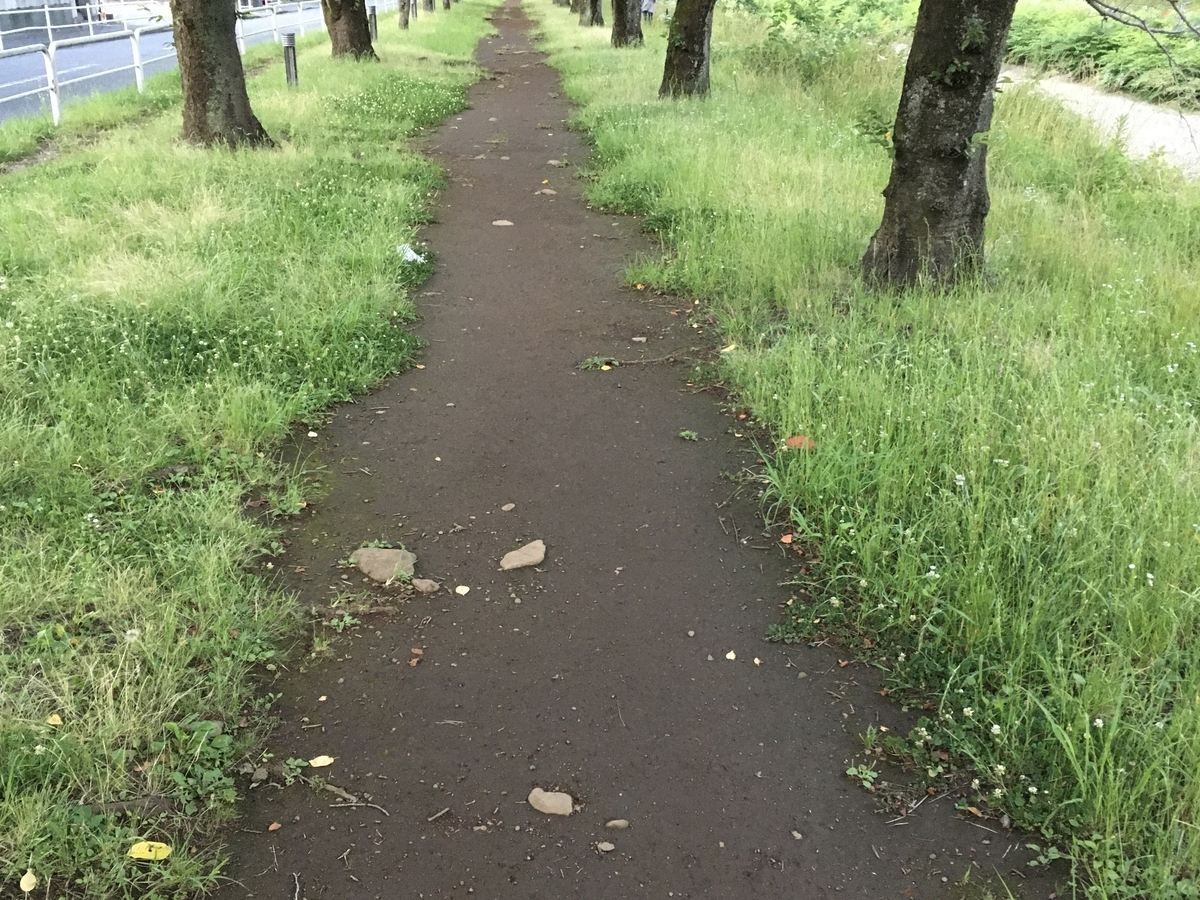 f:id:hatchtomakinoki:20210621200344j:plain