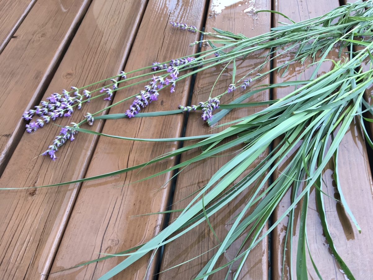 f:id:hatchtomakinoki:20210701192009j:plain