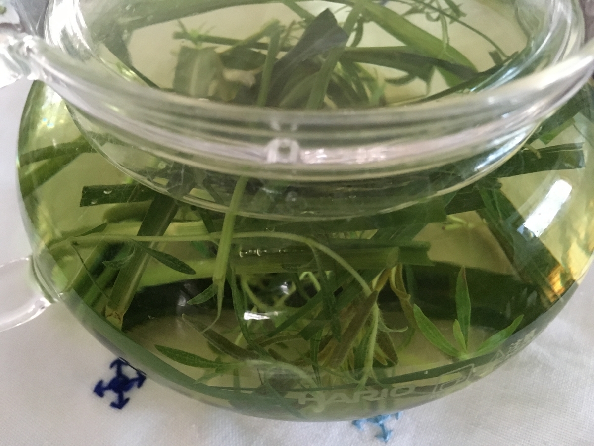 f:id:hatchtomakinoki:20210701192957j:plain