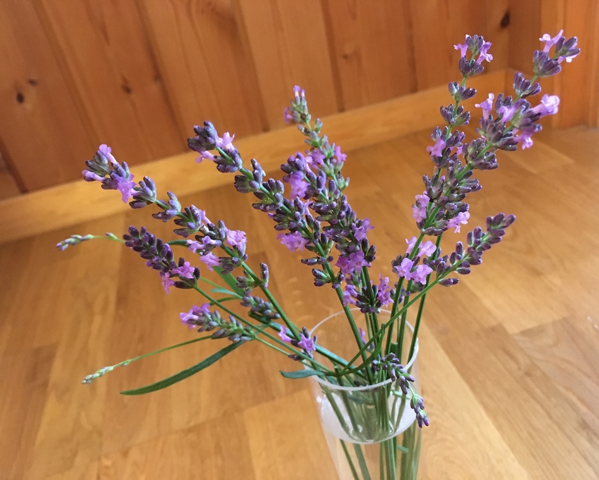 f:id:hatchtomakinoki:20210701194845j:plain