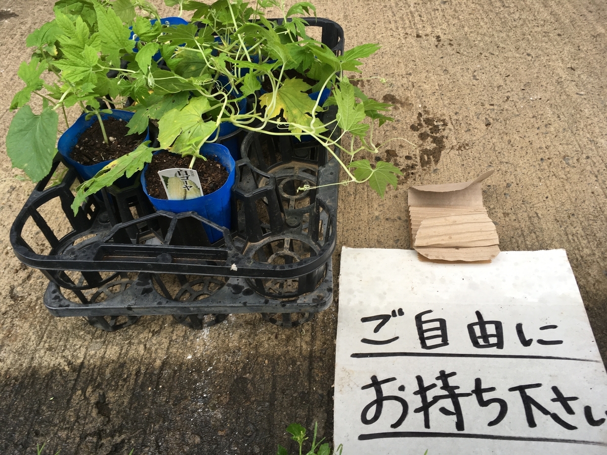 f:id:hatchtomakinoki:20210708183955j:plain