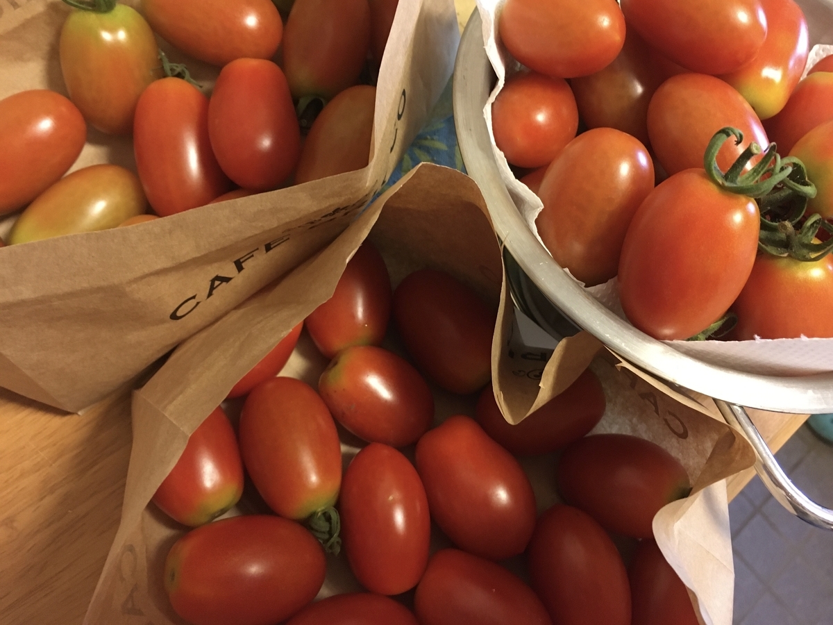 f:id:hatchtomakinoki:20210801195115j:plain