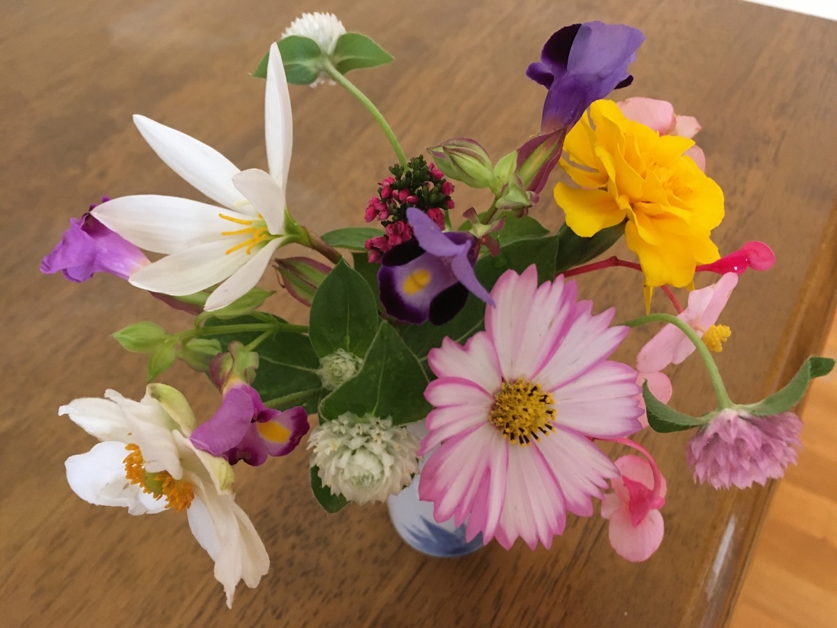 f:id:hatchtomakinoki:20210920192538j:plain