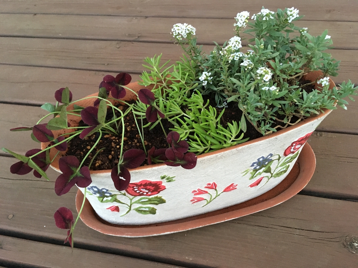 f:id:hatchtomakinoki:20210920193207j:plain