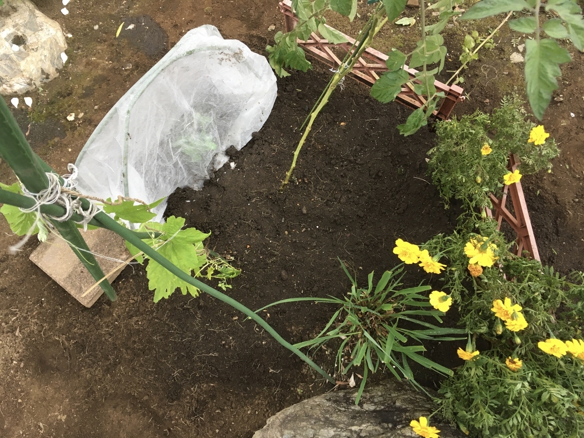 f:id:hatchtomakinoki:20211009193940j:plain