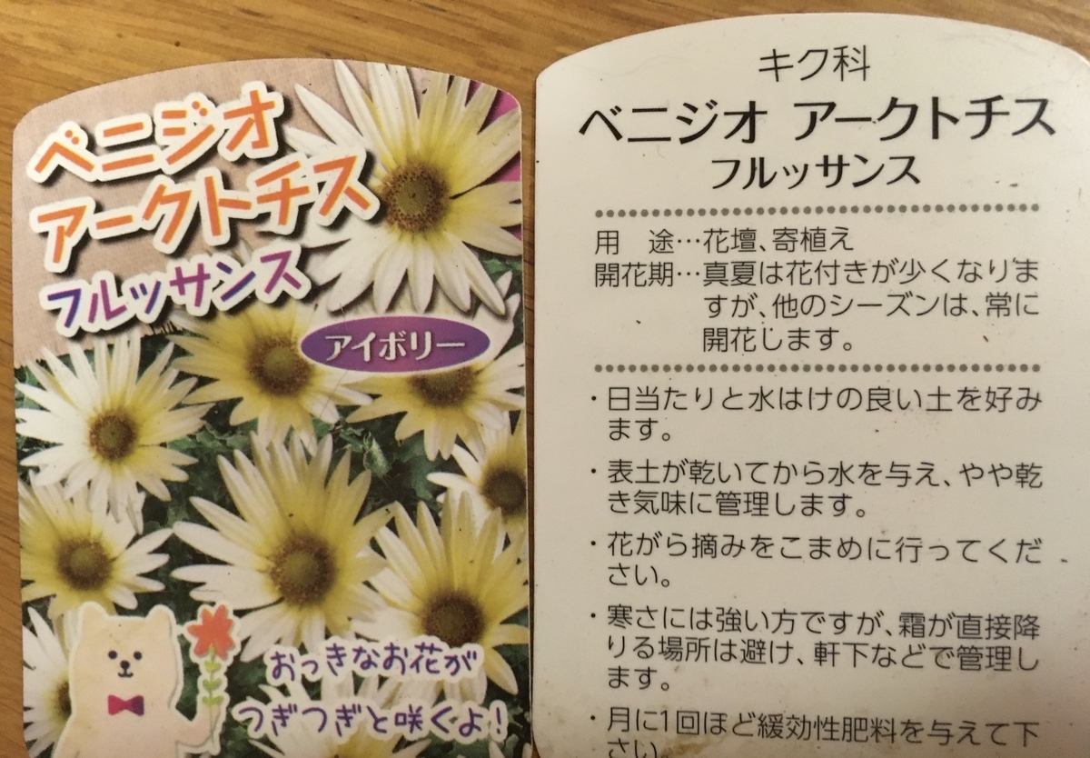 f:id:hatchtomakinoki:20211009194232j:plain