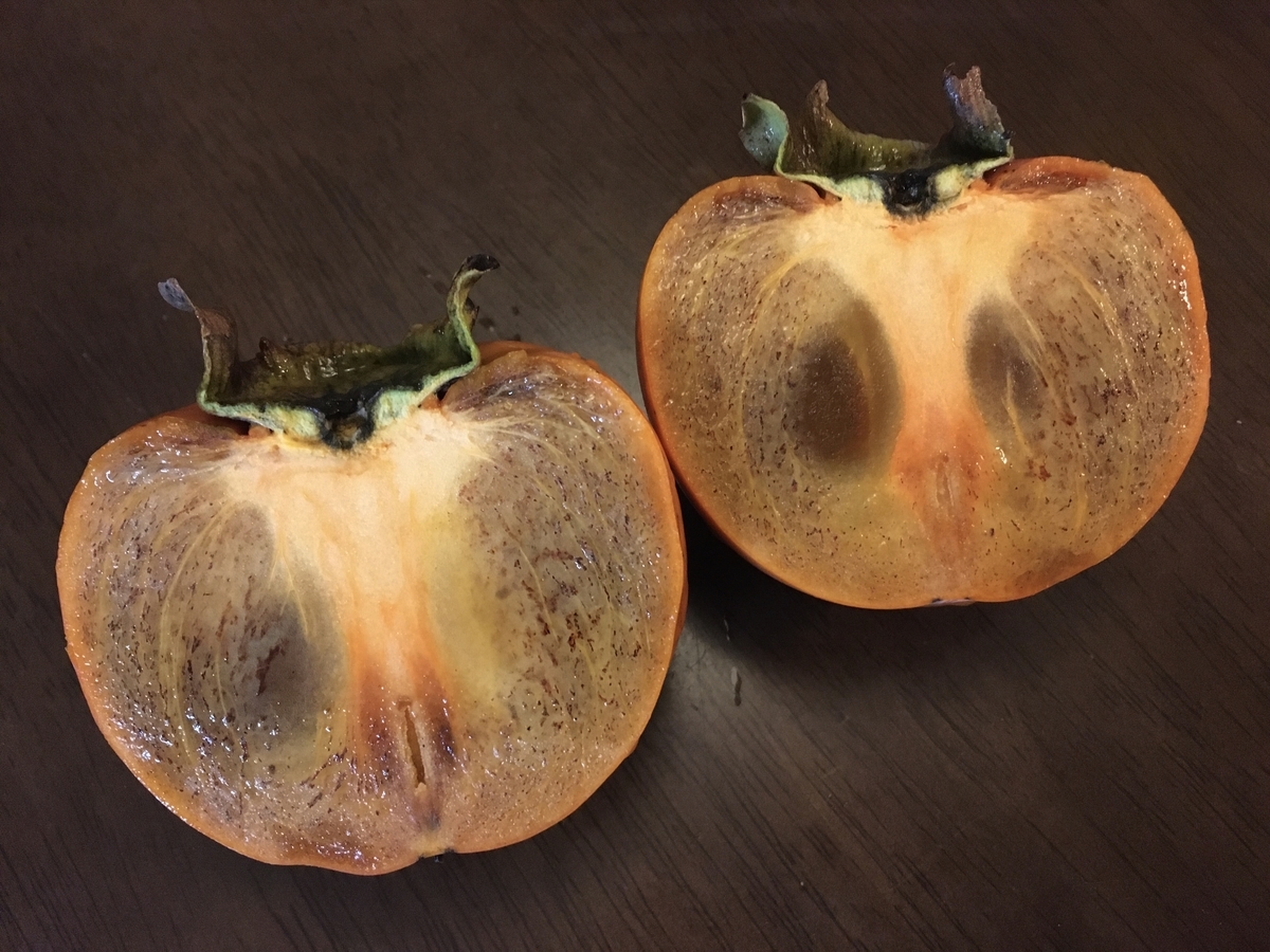 f:id:hatchtomakinoki:20211019184857j:plain