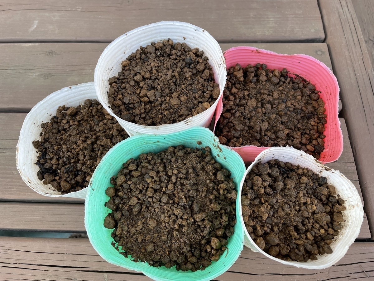 f:id:hatchtomakinoki:20211030192916j:plain