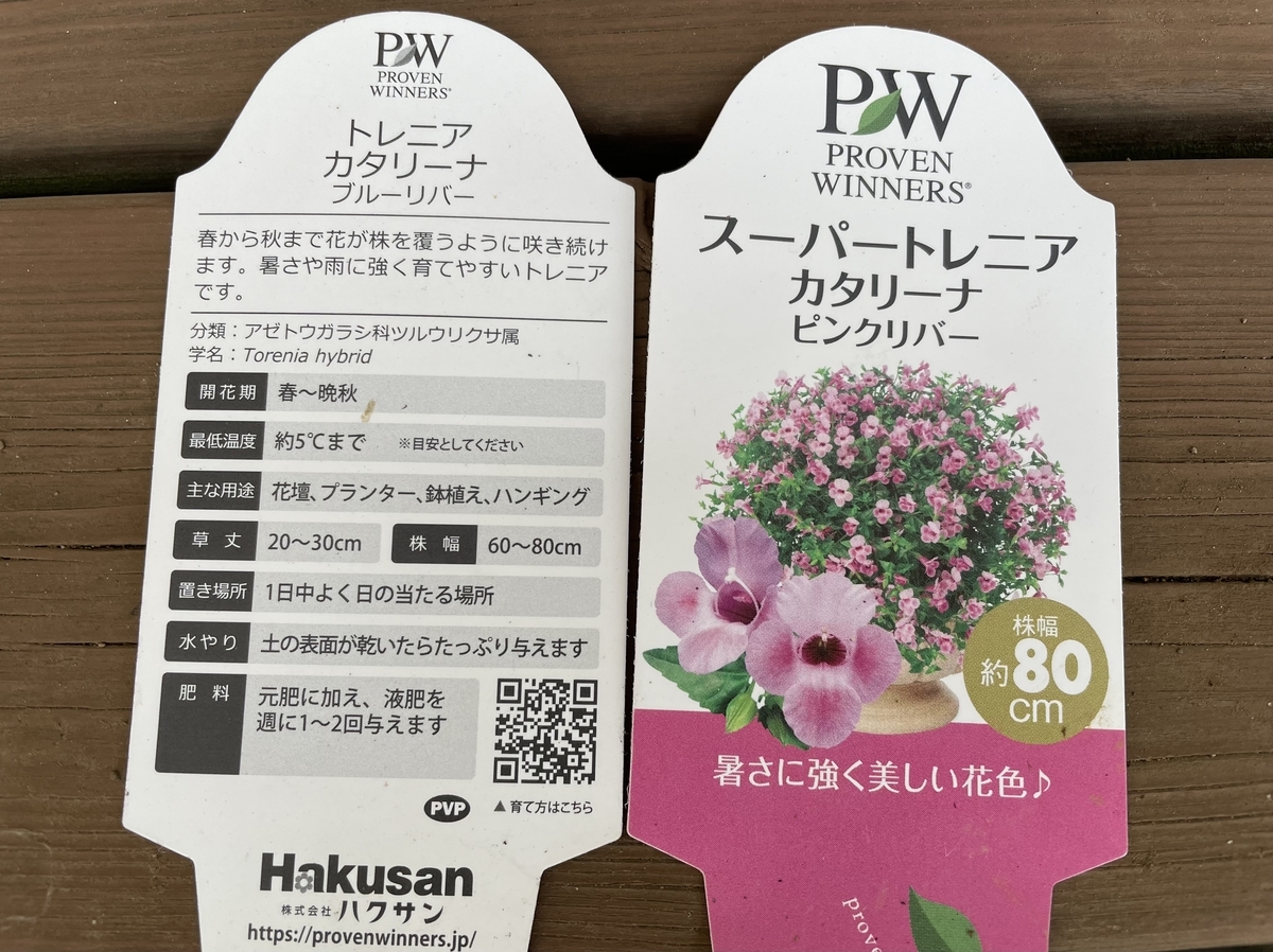 f:id:hatchtomakinoki:20211101190604j:plain