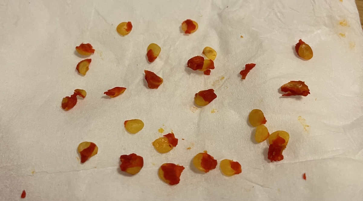 f:id:hatchtomakinoki:20211112195057j:plain