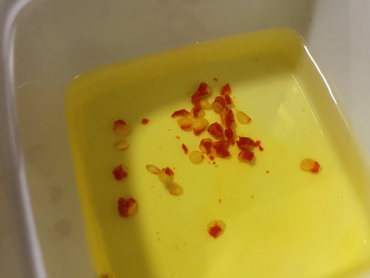 f:id:hatchtomakinoki:20211112195108j:plain