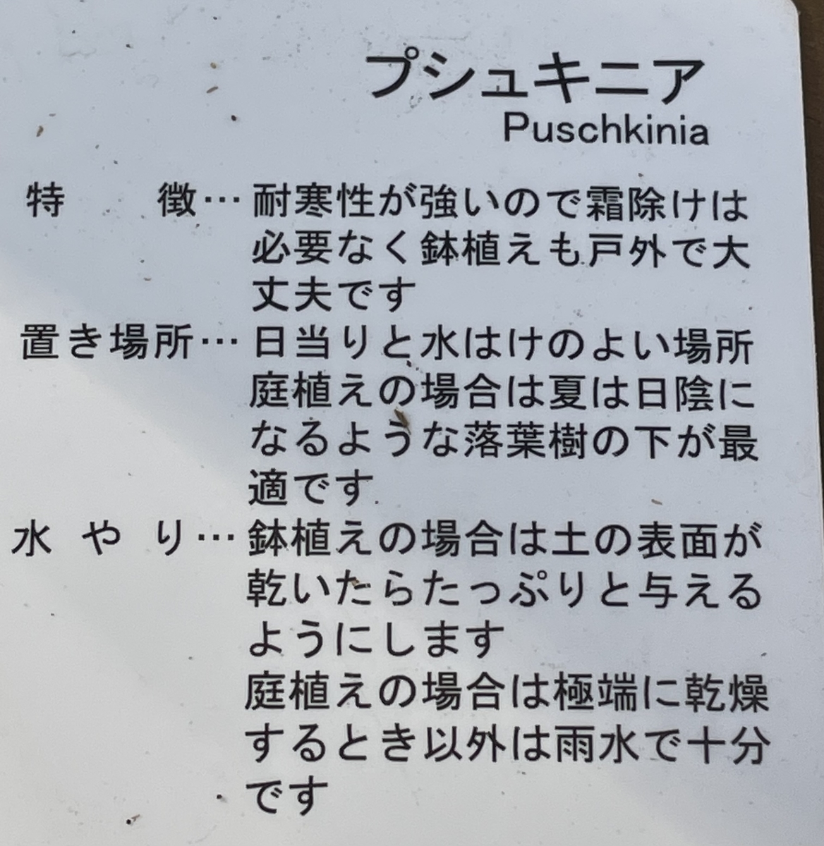 f:id:hatchtomakinoki:20220108152254j:plain