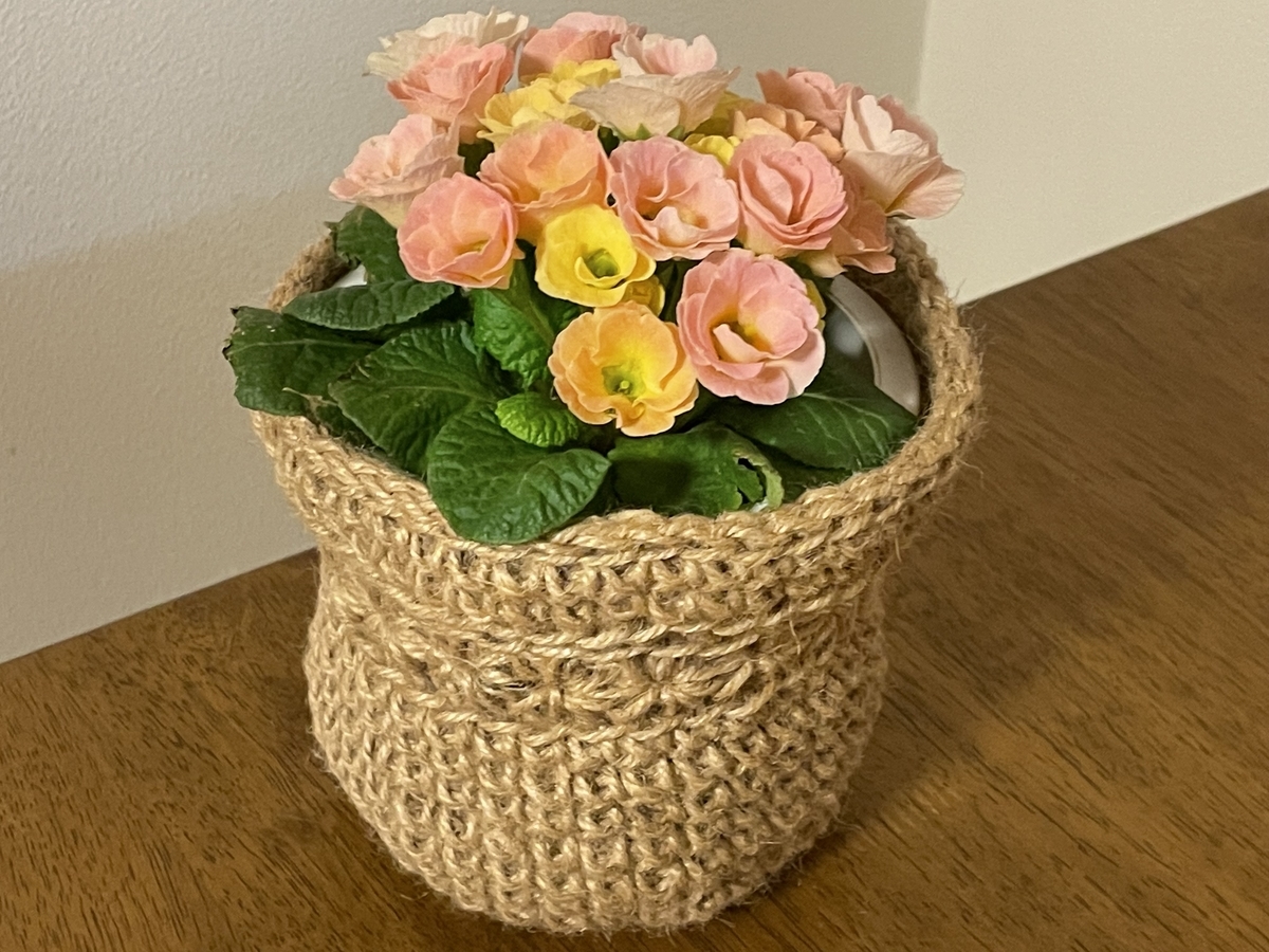 f:id:hatchtomakinoki:20220213195342j:plain