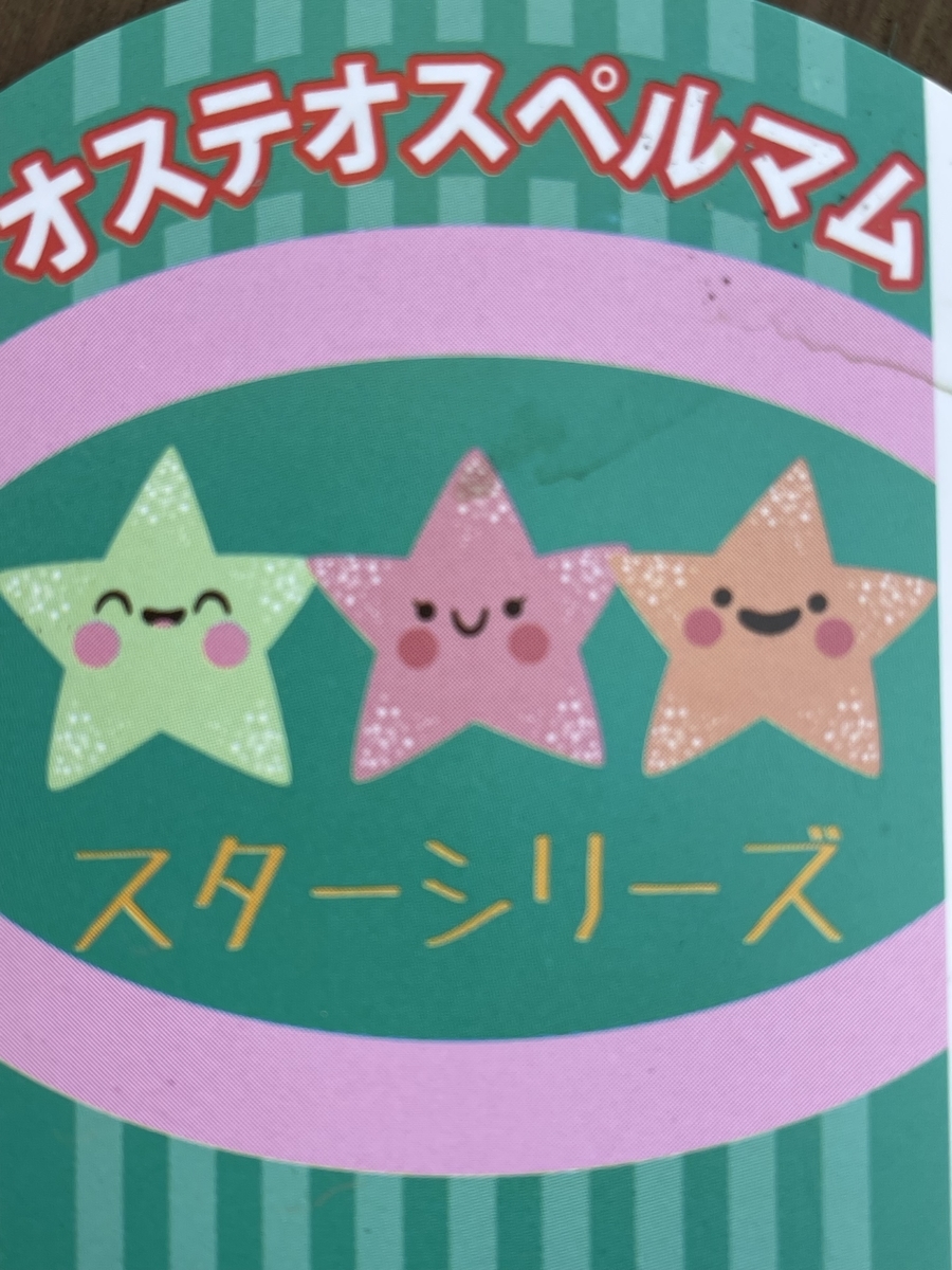 f:id:hatchtomakinoki:20220215185222j:plain