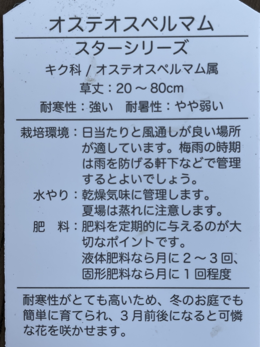 f:id:hatchtomakinoki:20220215185236j:plain
