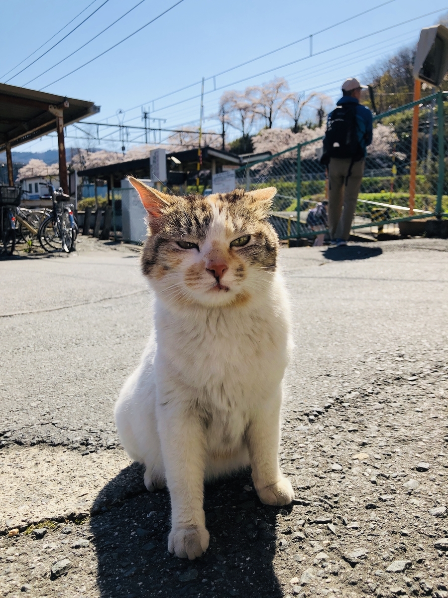 f:id:hatchyxoxo:20190428154526j:plain