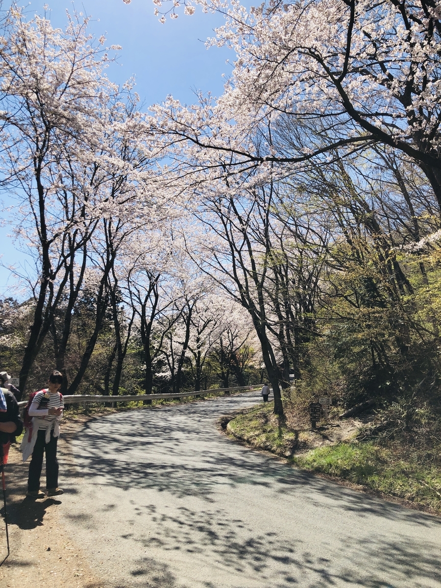 f:id:hatchyxoxo:20190428155837j:plain