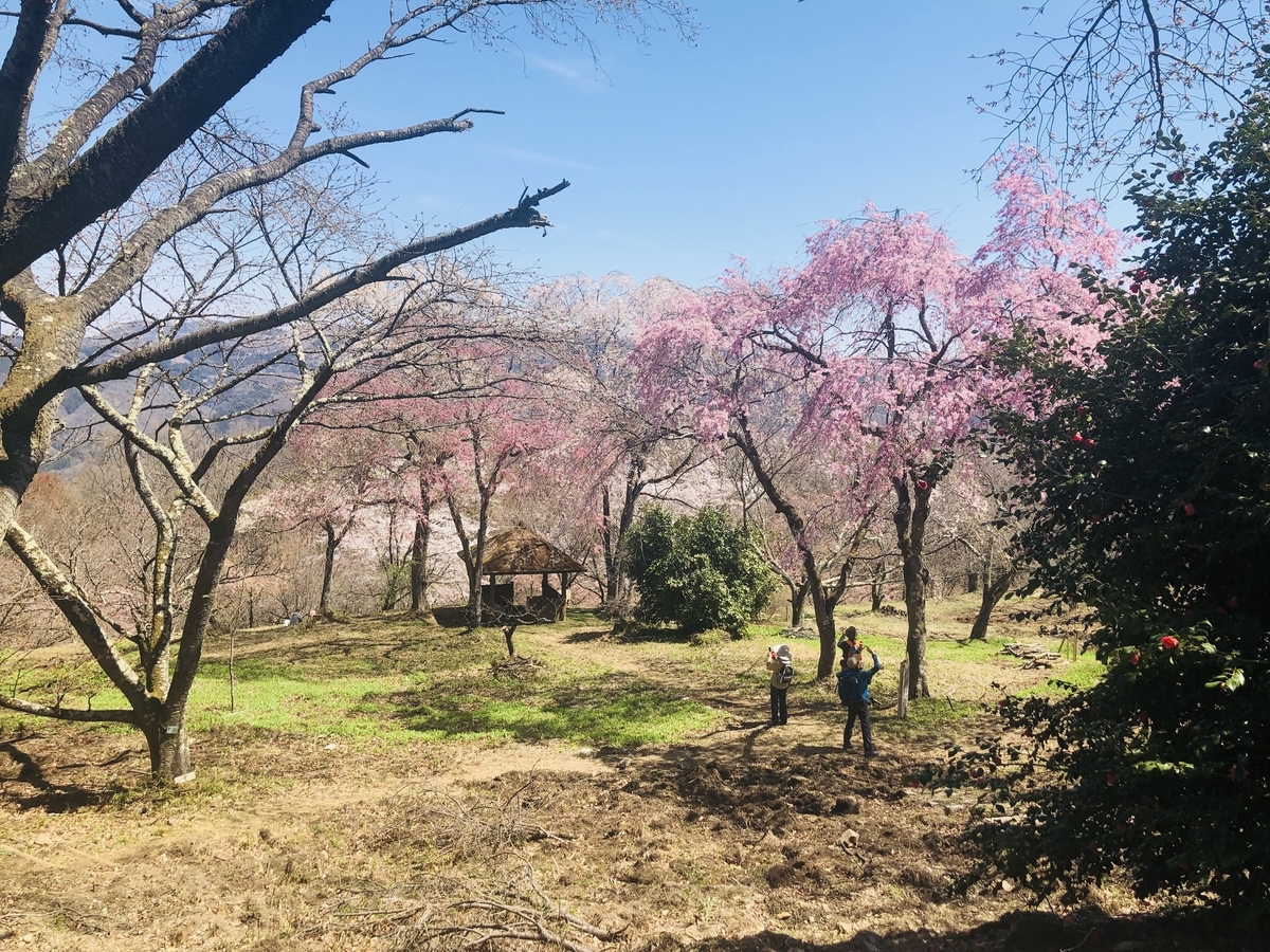 f:id:hatchyxoxo:20190428170206j:plain