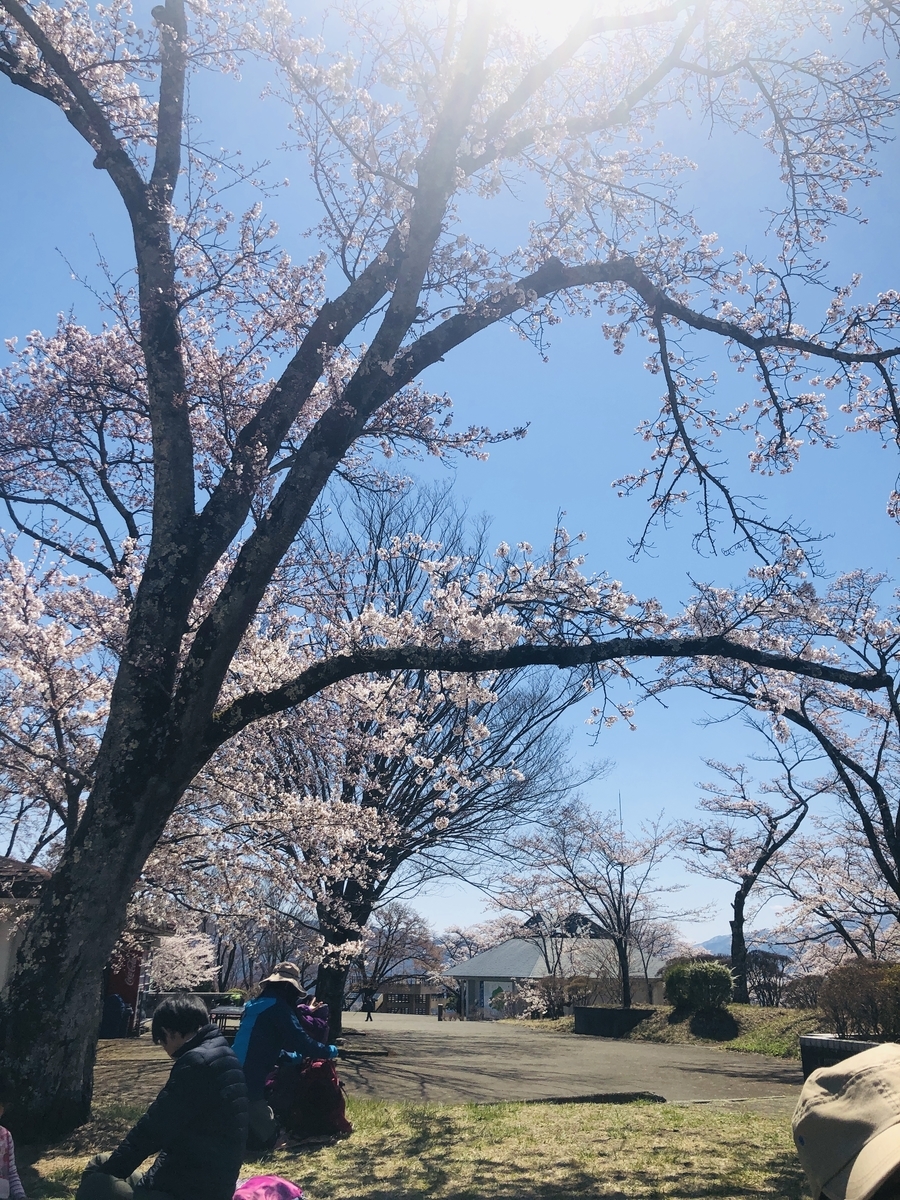 f:id:hatchyxoxo:20190428170527j:plain