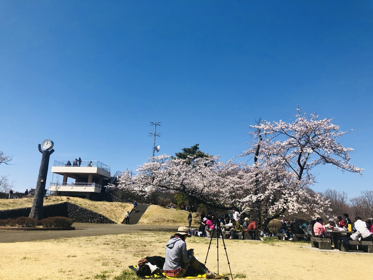 f:id:hatchyxoxo:20190428170529j:plain