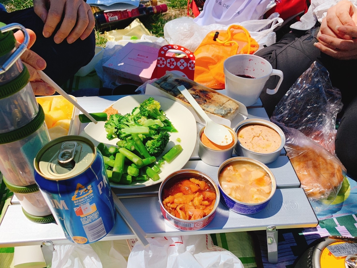 f:id:hatchyxoxo:20190428172742j:plain