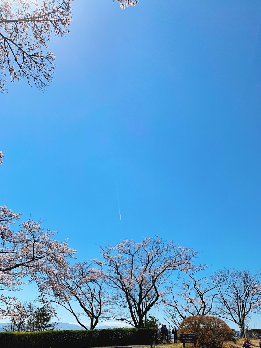 f:id:hatchyxoxo:20190428172911j:plain
