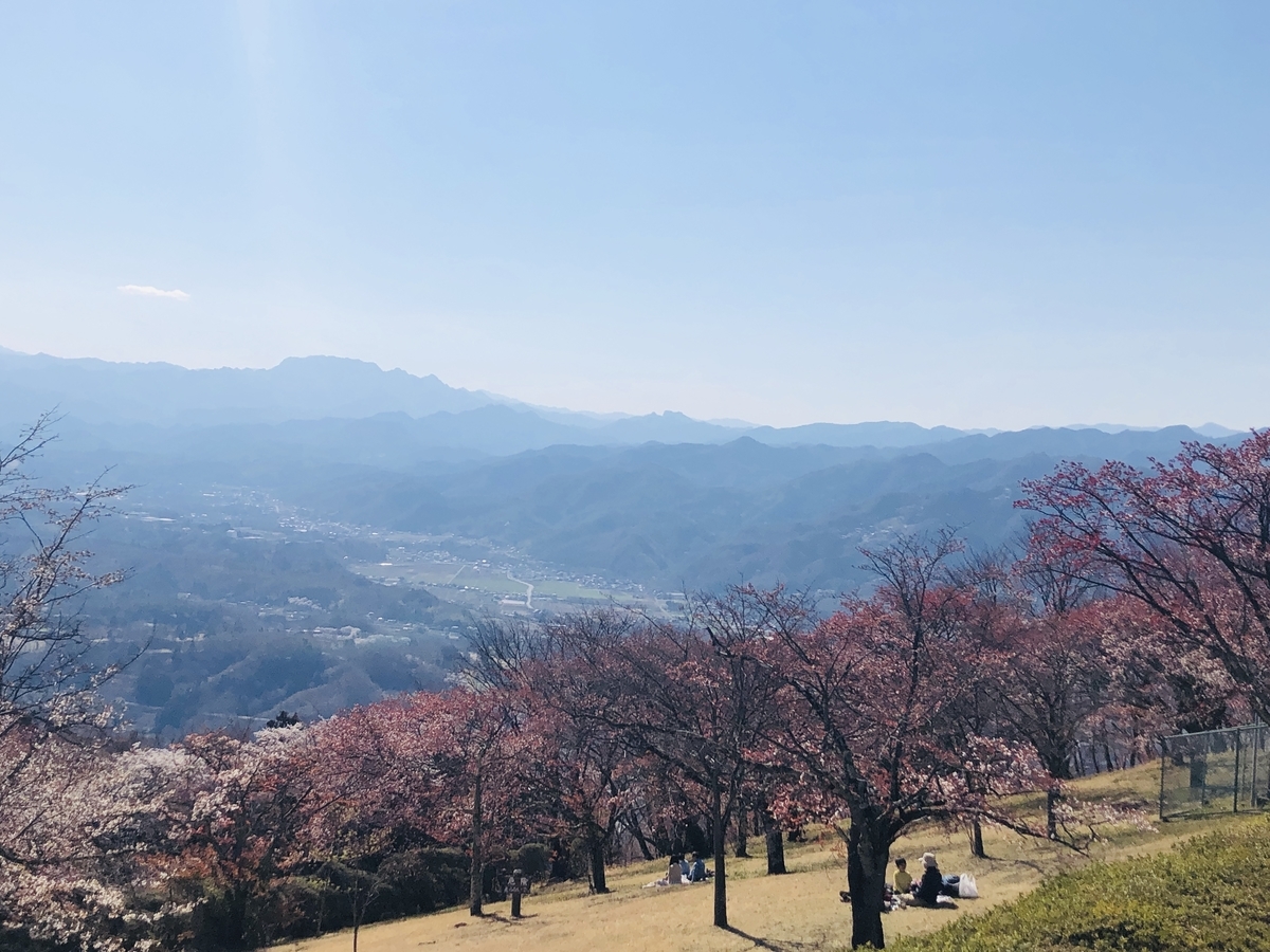 f:id:hatchyxoxo:20190428173211j:plain