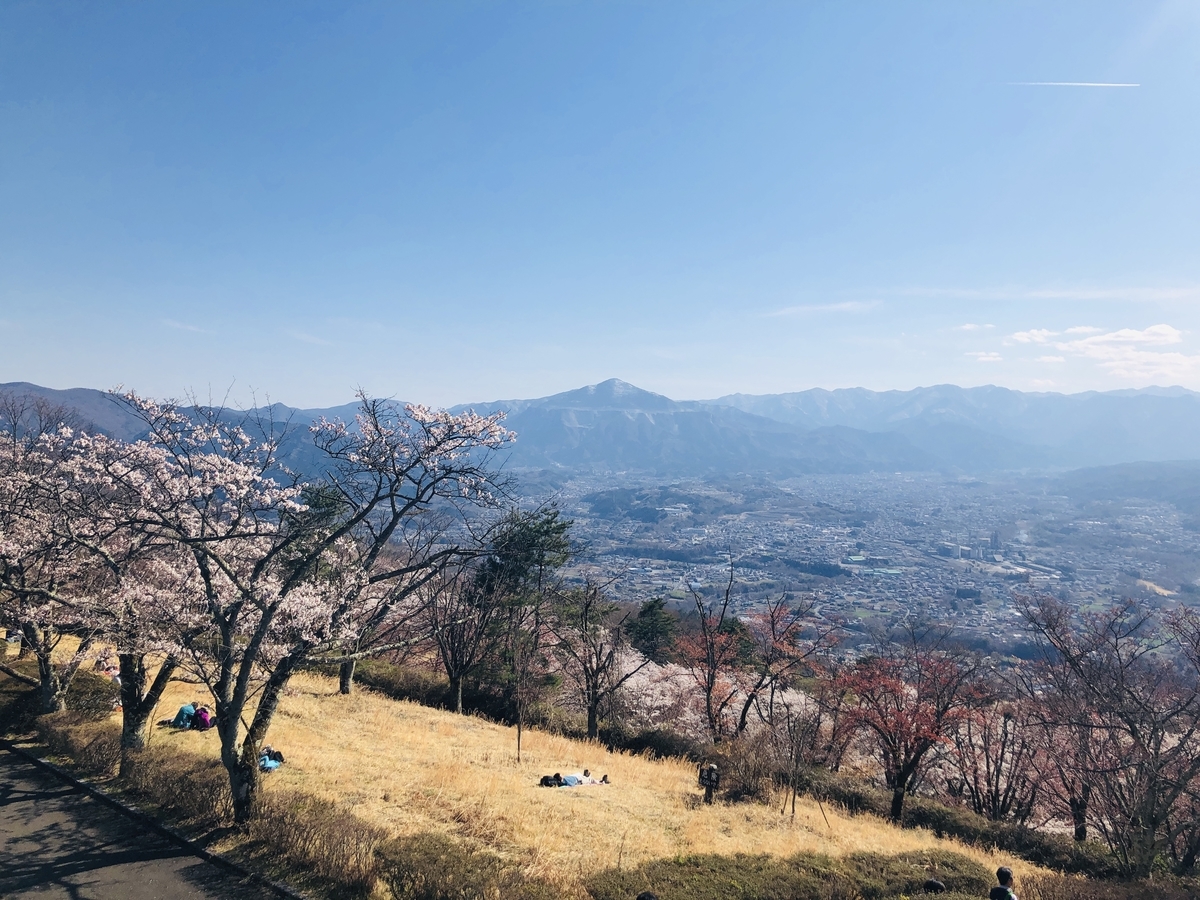 f:id:hatchyxoxo:20190428173213j:plain