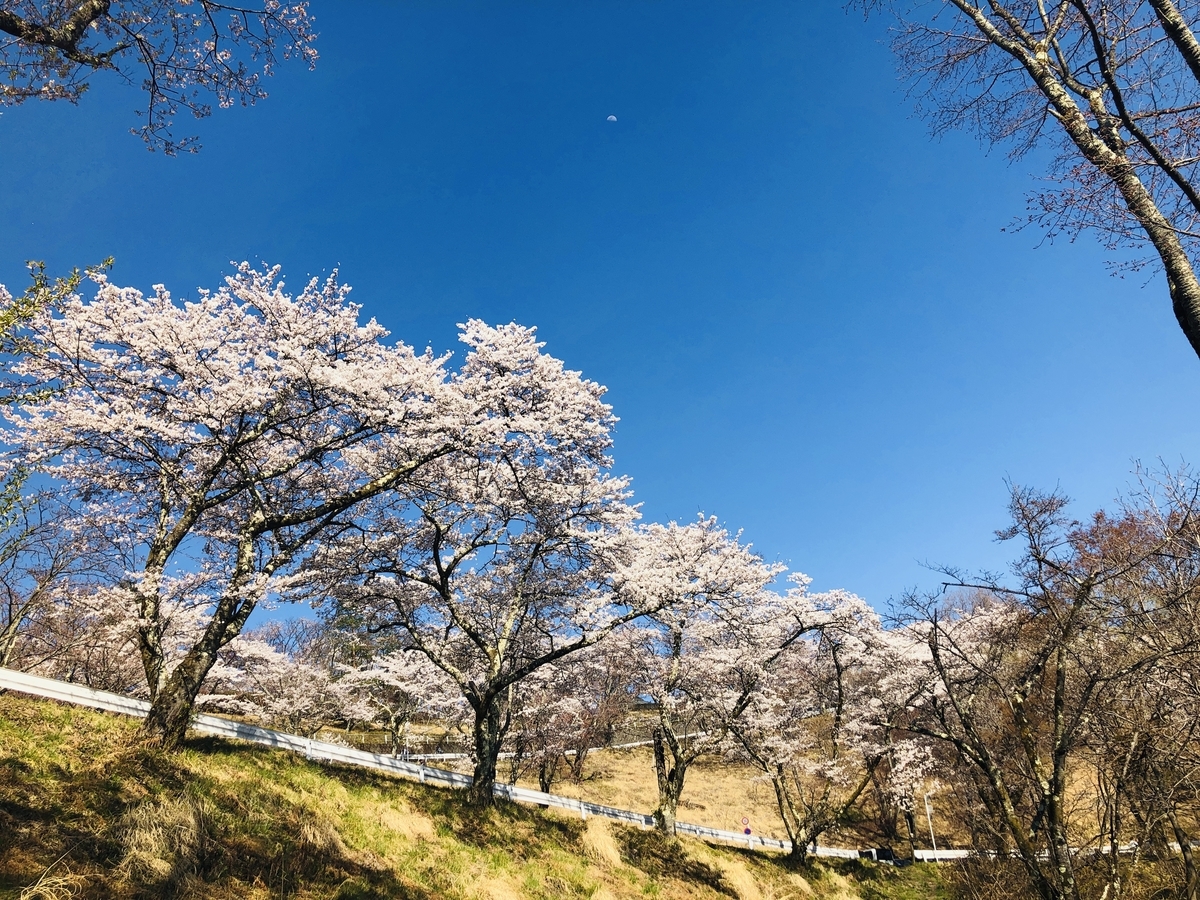 f:id:hatchyxoxo:20190428173832j:plain