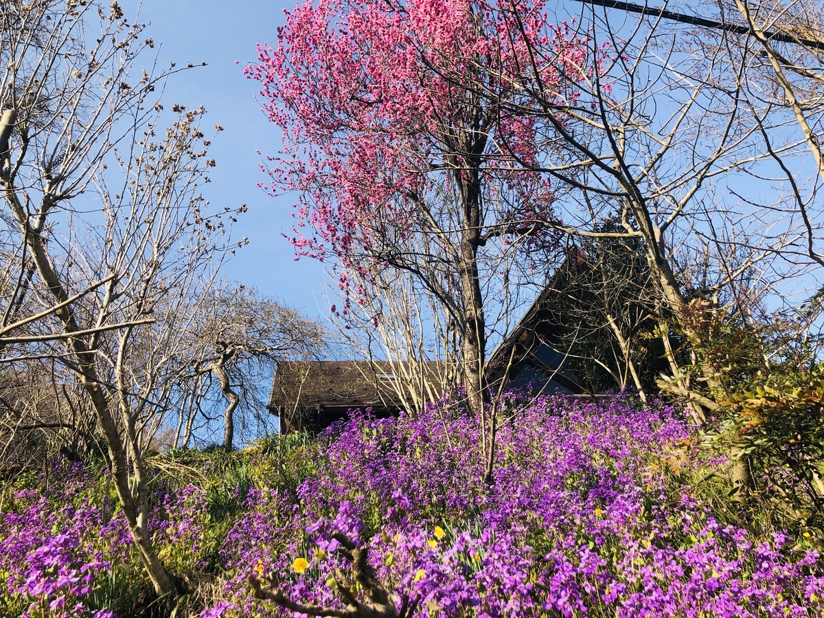 f:id:hatchyxoxo:20190428174848j:plain